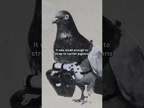 Dr. Julius Neubronner and the Creation of Aerial Photography #history #photography #pigeons